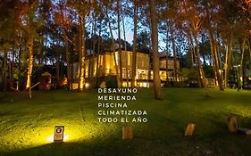 Sonidos Del Bosque